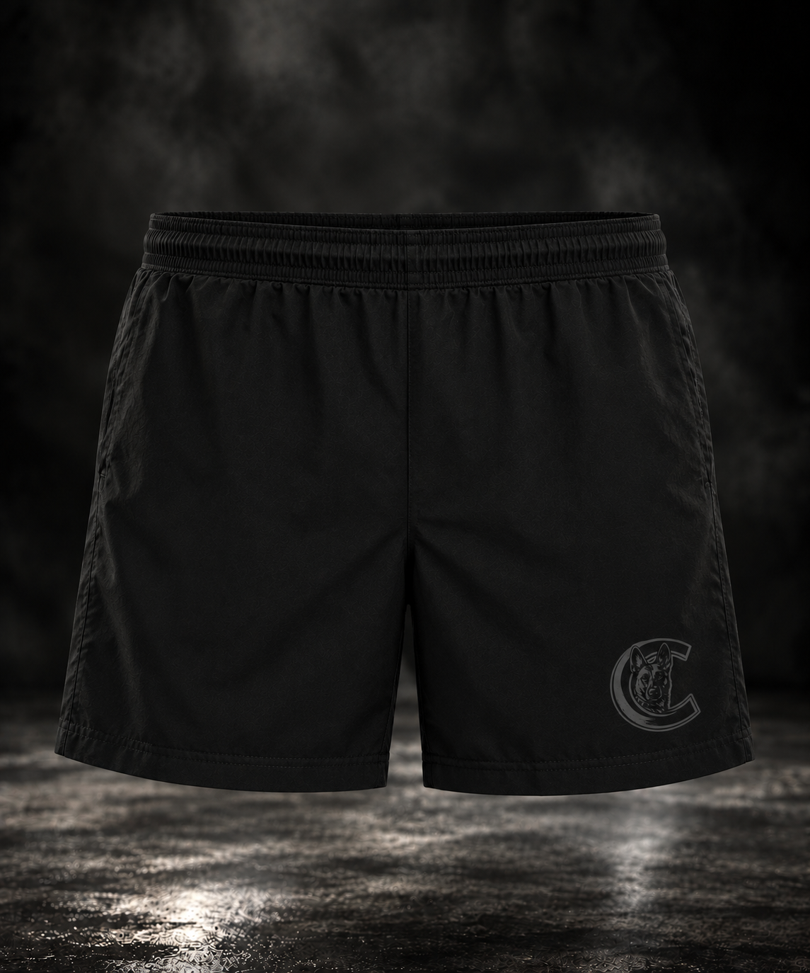 Coastal Hitterz 5" Training Shorts