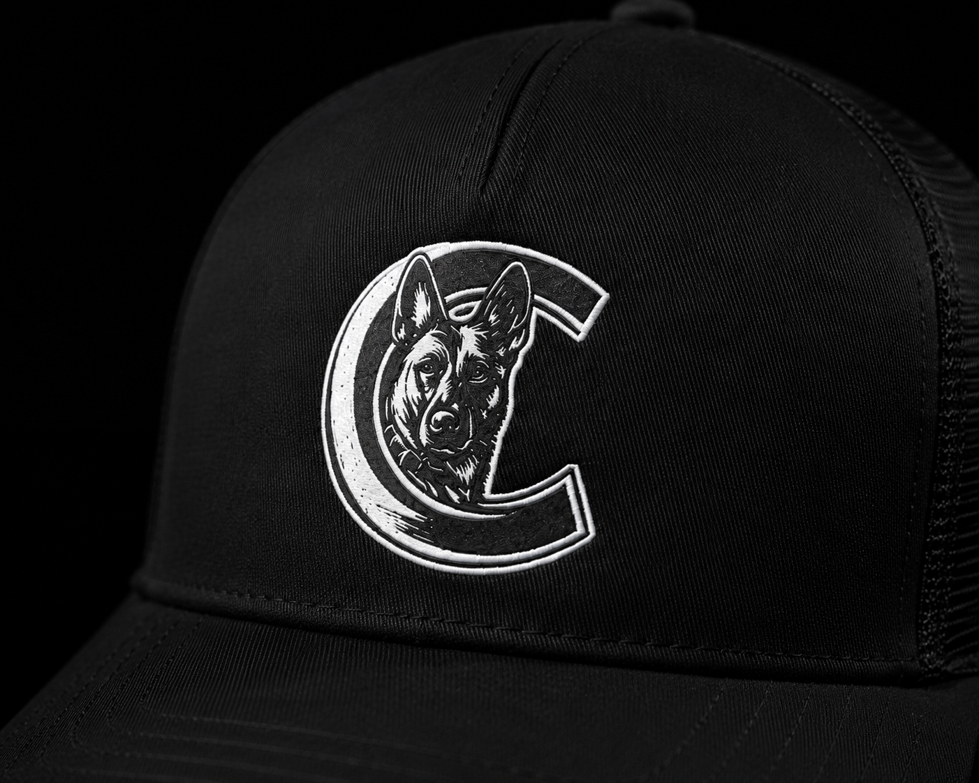 Coastal Hitterz Official Hat - First Edition